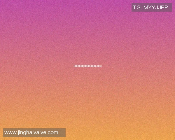 沈阳女篮球明星的成长之路与辉煌成就揭秘