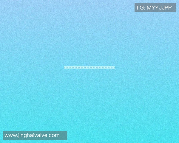 篮球明星眼中的女球迷魅力与热情探秘，如何影响他们的职业生涯与场外生活