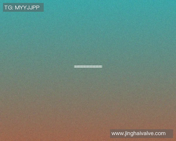 篮球明星流利说英文背后的故事与挑战揭秘